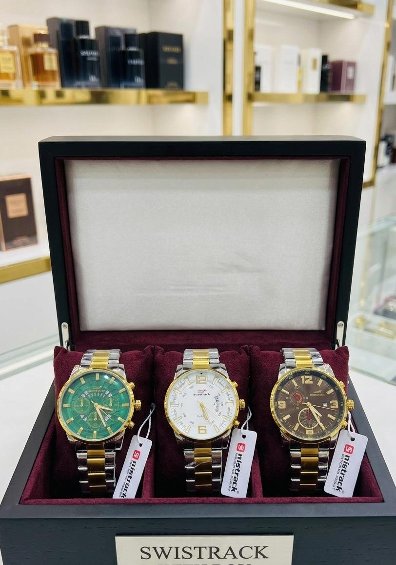 Swistrack Luxury Men’s Stainless Steel Quartz Watch